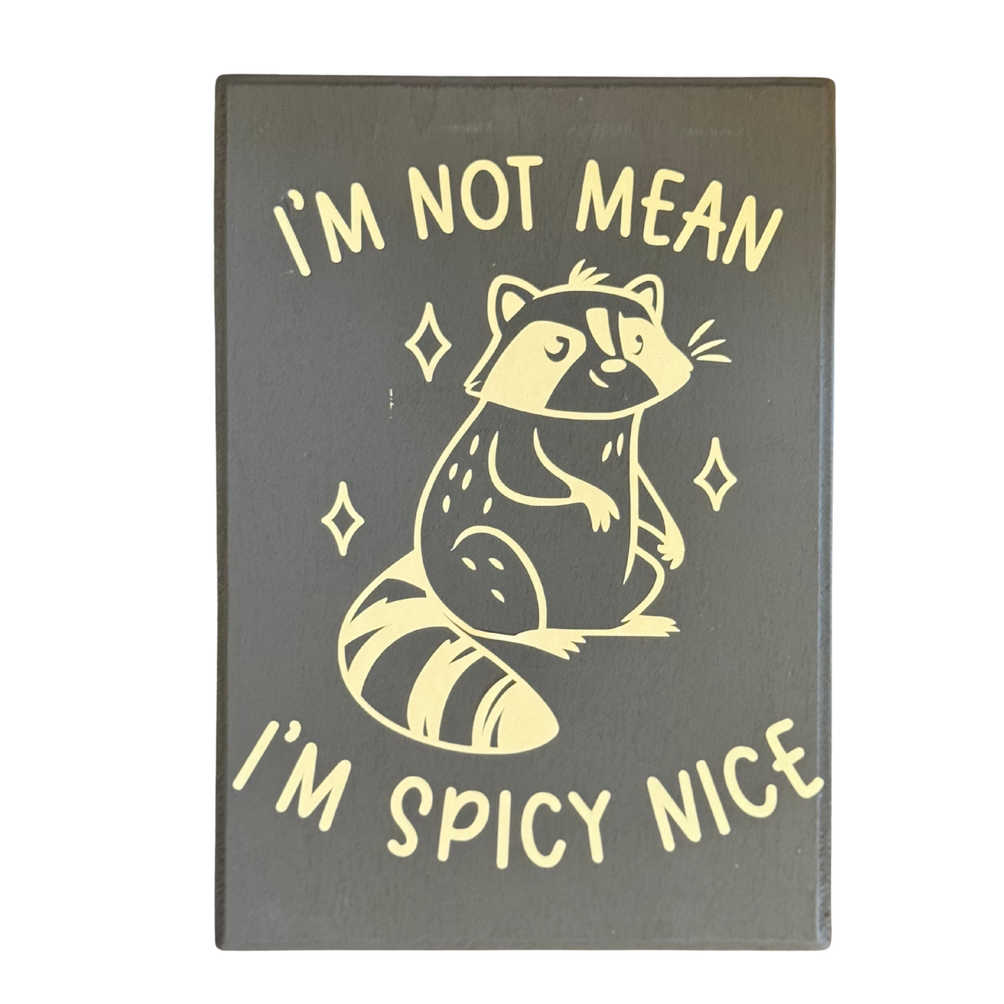 I'm Not Mean, I'm Spicy Nice