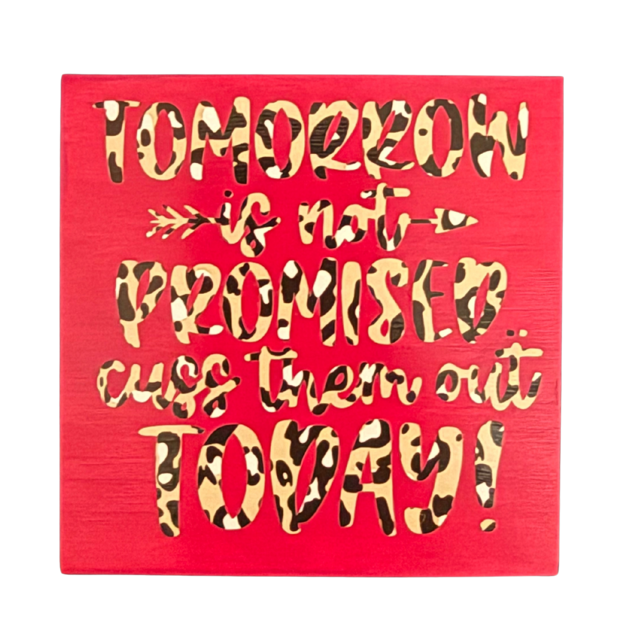 Tomorrow Is Not Promised.  Cuss Them Out Today Sign