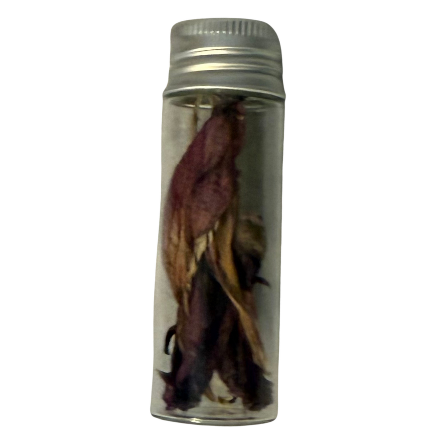 Alstroemeria Petals