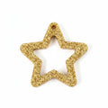Resin Star Frame Charm