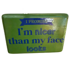 I Promise I'm Nicer Than My Face Looks Sign