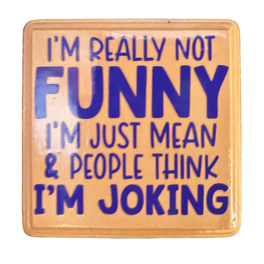 I'm Really Not Funny.  I'm Just Mean & People Think I'm Joking Sign