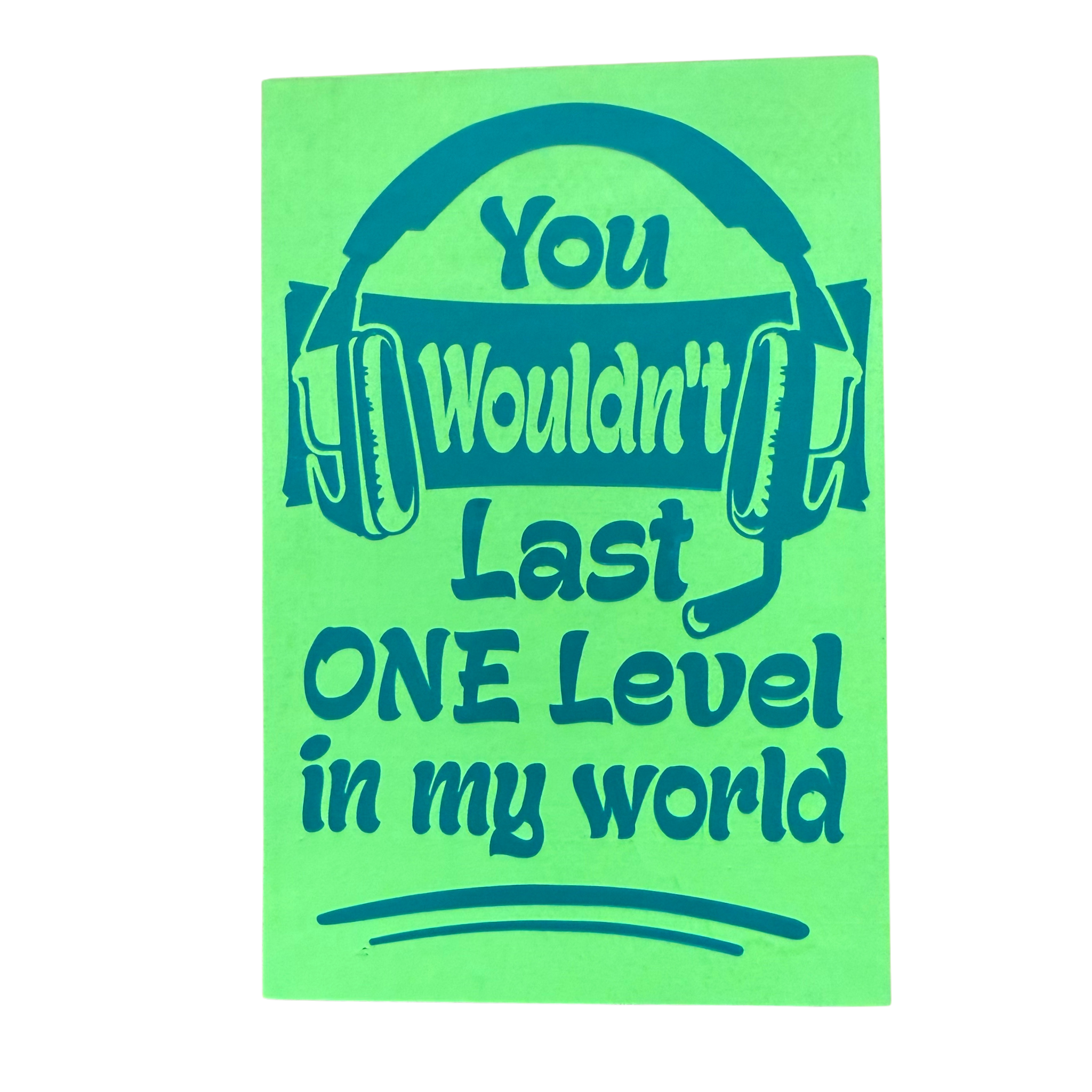 You Wouldn't Last One Level in My World Sign