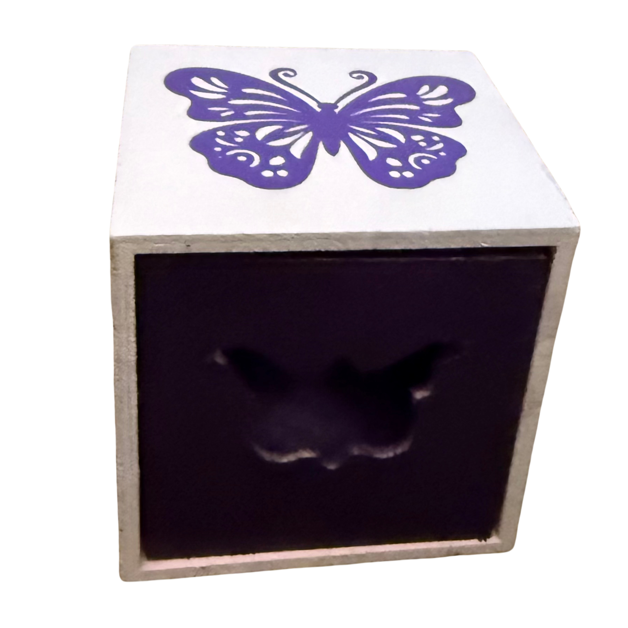 Butterfly Trinket Cube
