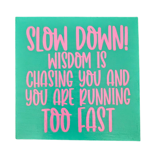Slow Down!  Wisdom is Chasing You and You are Running Too Fast Sign