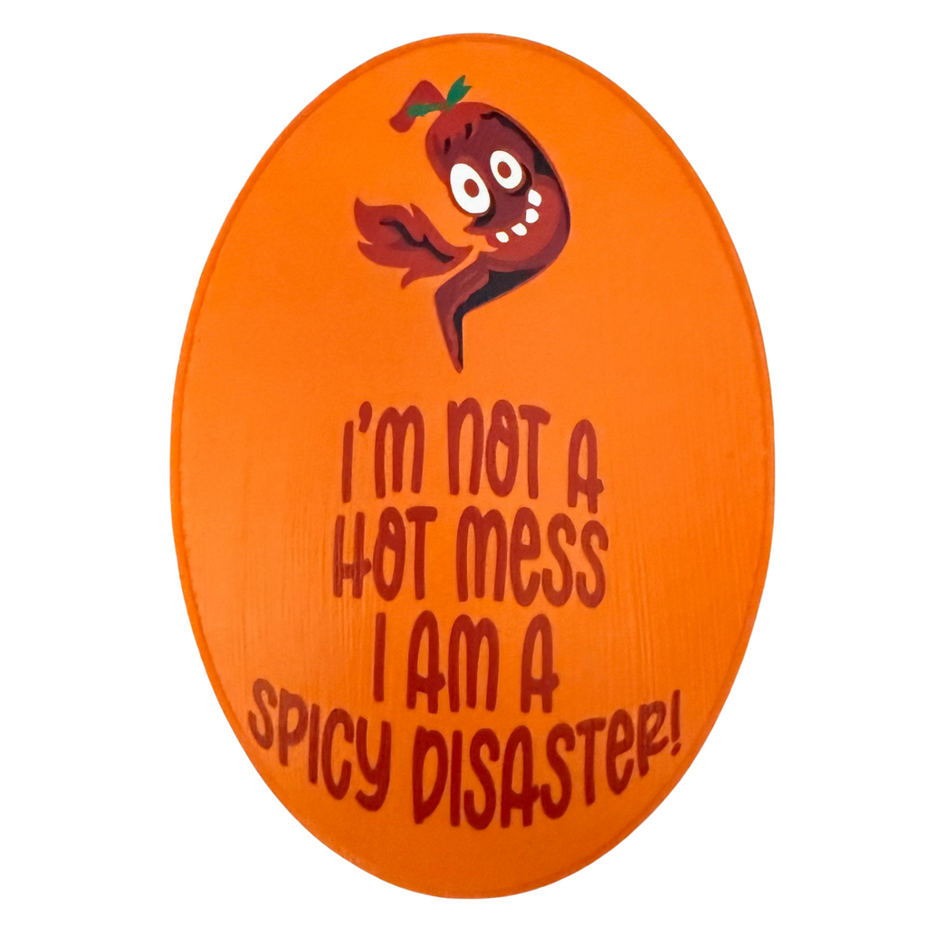 I'm Not A Hot Mess.  I Am A Spicy Disaster Sign