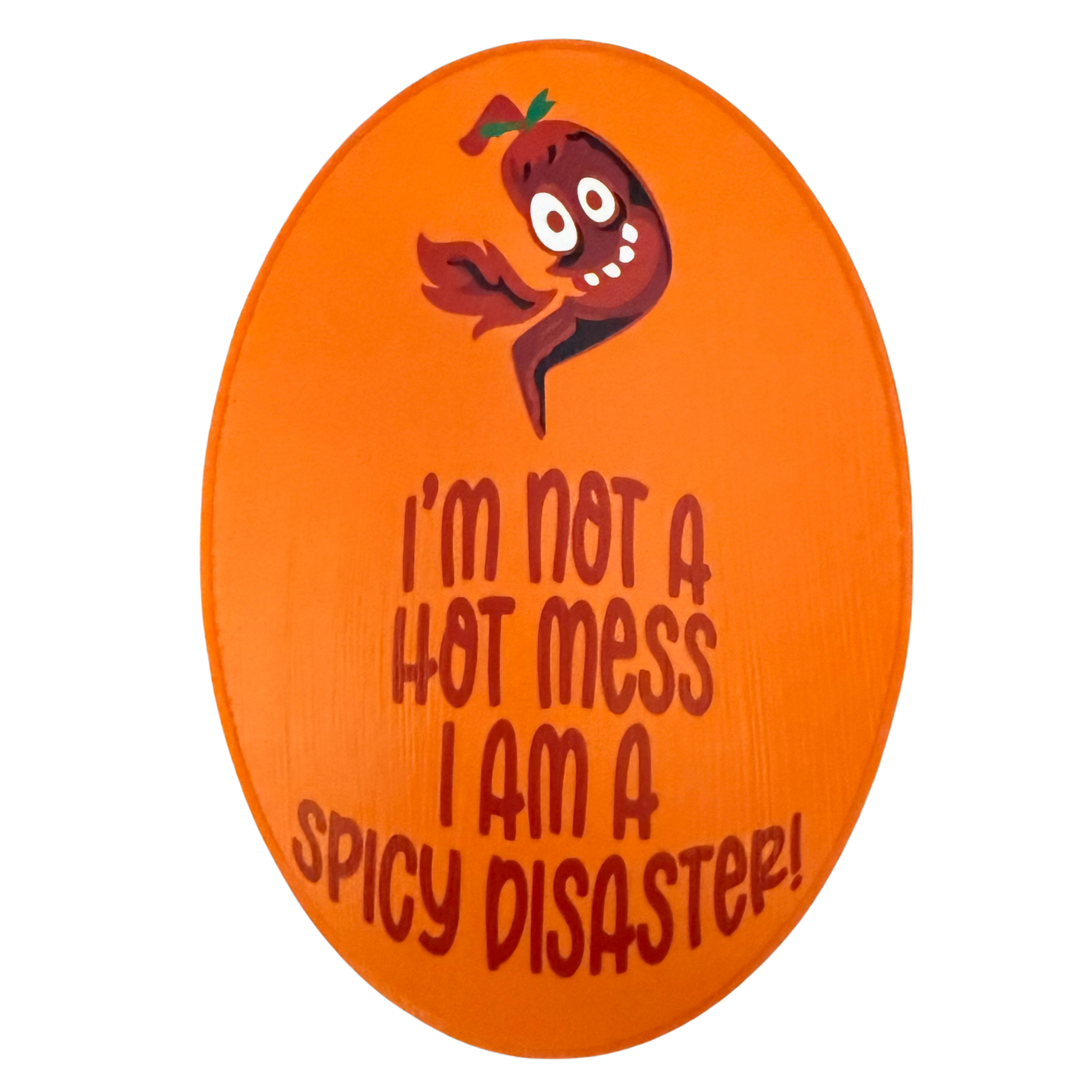 I'm Not A Hot Mess.  I Am A Spicy Disaster Sign