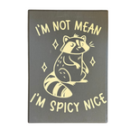 I'm Not Mean, I'm Spicy Nice